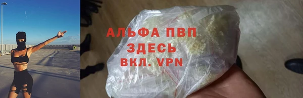 дживик Верхний Тагил