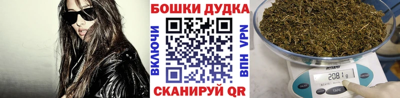 Канабис сатива Зеленокумск